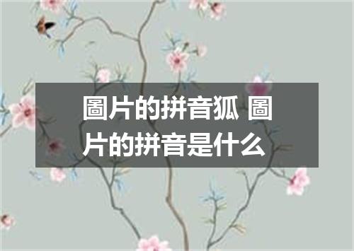 圖片的拼音狐 圖片的拼音是什么