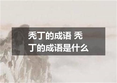 秃丁的成语 秃丁的成语是什么