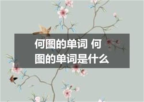 何图的单词 何图的单词是什么
