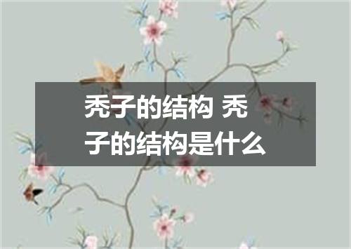 秃子的结构 秃子的结构是什么