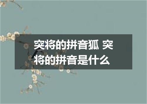 突将的拼音狐 突将的拼音是什么