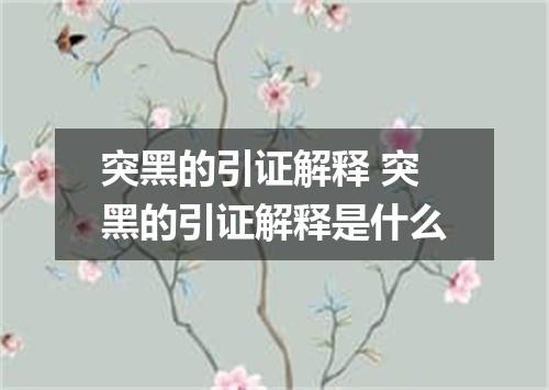 突黑的引证解释 突黑的引证解释是什么