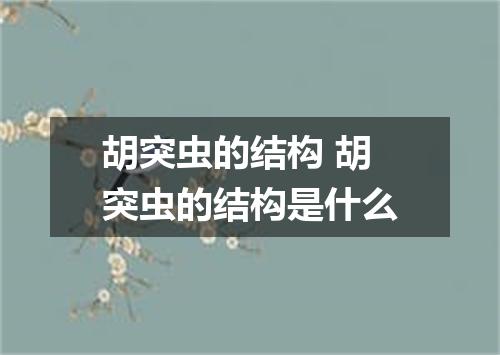 胡突虫的结构 胡突虫的结构是什么