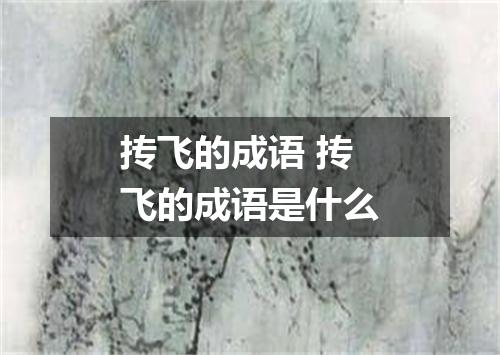 抟飞的成语 抟飞的成语是什么