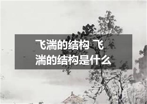 飞湍的结构 飞湍的结构是什么
