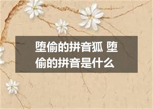 堕偷的拼音狐 堕偷的拼音是什么