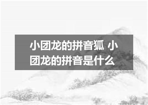 小团龙的拼音狐 小团龙的拼音是什么