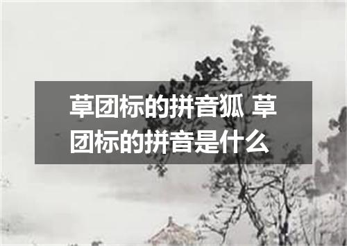 草团标的拼音狐 草团标的拼音是什么
