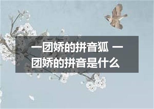 一团娇的拼音狐 一团娇的拼音是什么