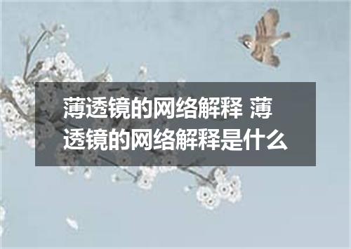 薄透镜的网络解释 薄透镜的网络解释是什么