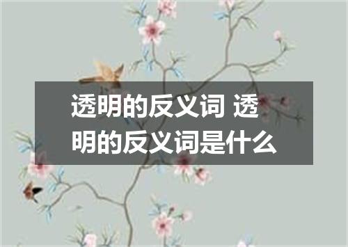 透明的反义词 透明的反义词是什么