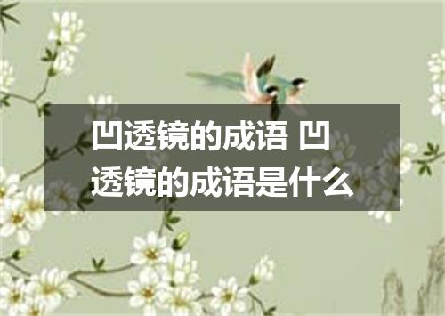 凹透镜的成语 凹透镜的成语是什么