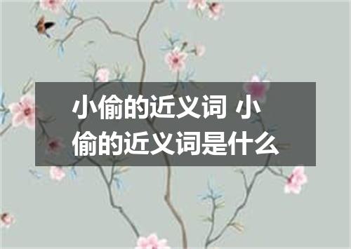 小偷的近义词 小偷的近义词是什么