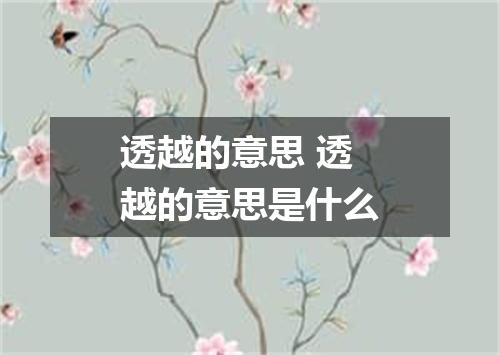 透越的意思 透越的意思是什么