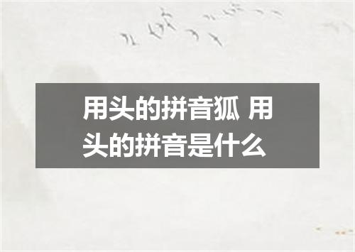 用头的拼音狐 用头的拼音是什么