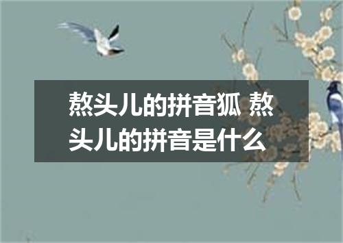 熬头儿的拼音狐 熬头儿的拼音是什么