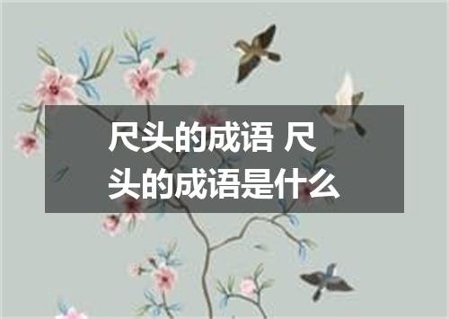 尺头的成语 尺头的成语是什么