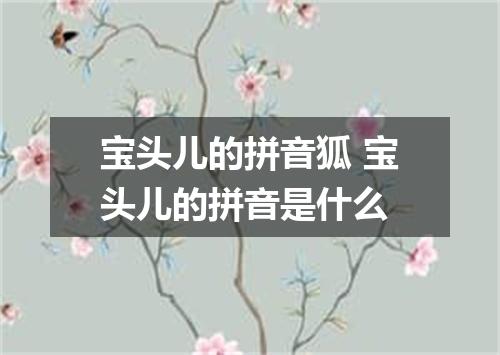 宝头儿的拼音狐 宝头儿的拼音是什么