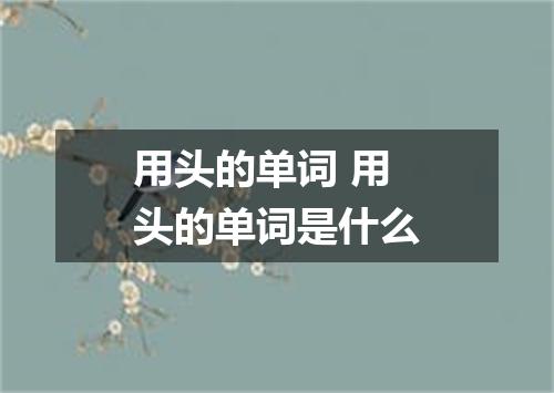 用头的单词 用头的单词是什么