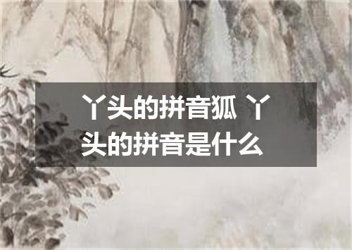 丫头的拼音狐 丫头的拼音是什么