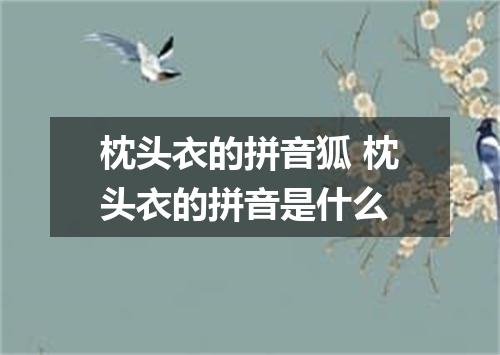 枕头衣的拼音狐 枕头衣的拼音是什么