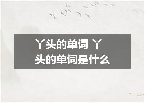 丫头的单词 丫头的单词是什么