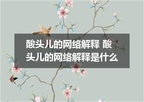 酸头儿的网络解释 酸头儿的网络解释是什么