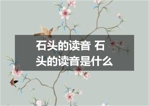 石头的读音 石头的读音是什么