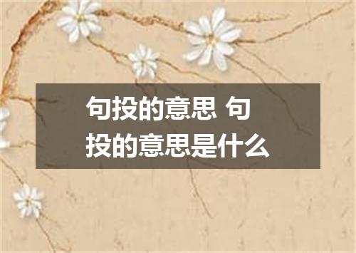 句投的意思 句投的意思是什么