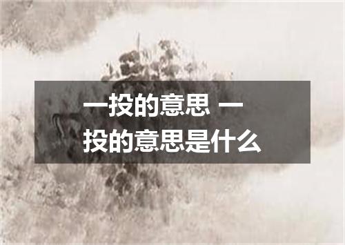 一投的意思 一投的意思是什么