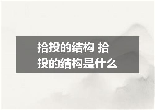 拾投的结构 拾投的结构是什么