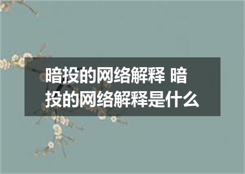 暗投的网络解释 暗投的网络解释是什么