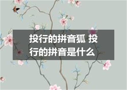 投行的拼音狐 投行的拼音是什么