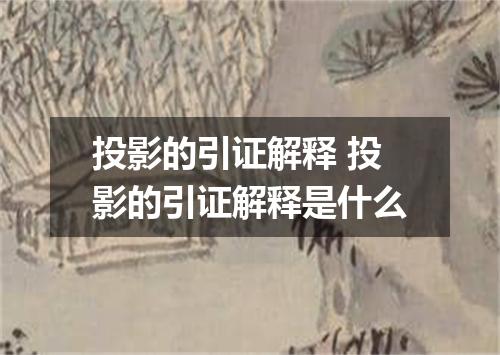 投影的引证解释 投影的引证解释是什么