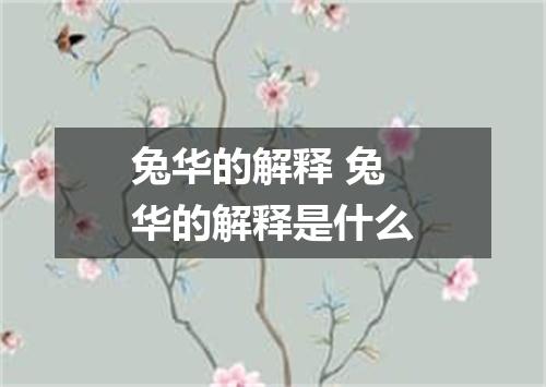 兔华的解释 兔华的解释是什么