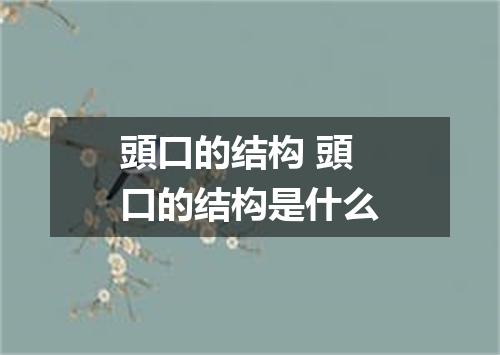 頭口的结构 頭口的结构是什么