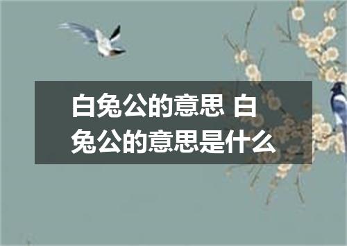 白兔公的意思 白兔公的意思是什么
