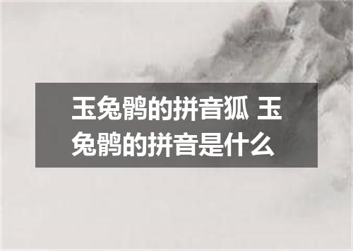 玉兔鹘的拼音狐 玉兔鹘的拼音是什么