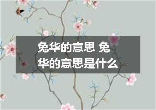 兔华的意思 兔华的意思是什么