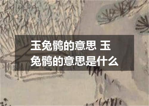 玉兔鹘的意思 玉兔鹘的意思是什么