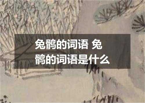 兔鹘的词语 兔鹘的词语是什么