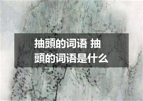 抽頭的词语 抽頭的词语是什么