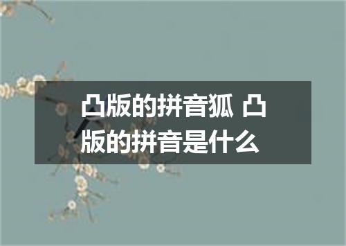 凸版的拼音狐 凸版的拼音是什么