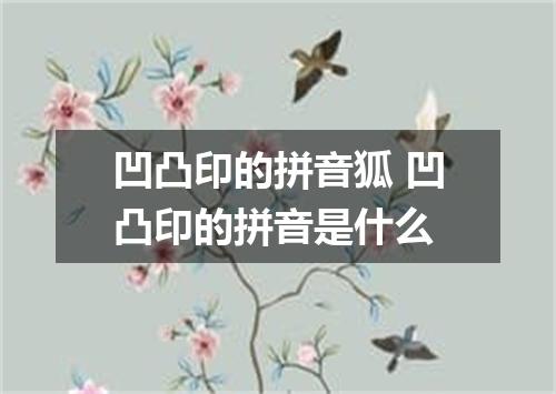 凹凸印的拼音狐 凹凸印的拼音是什么