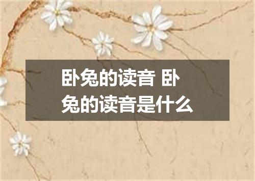 卧兔的读音 卧兔的读音是什么