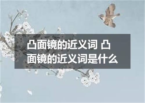 凸面镜的近义词 凸面镜的近义词是什么