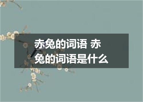 赤兔的词语 赤兔的词语是什么