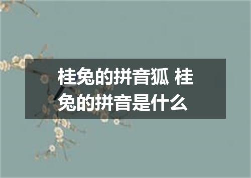 桂兔的拼音狐 桂兔的拼音是什么