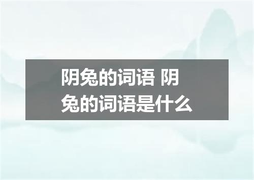 阴兔的词语 阴兔的词语是什么