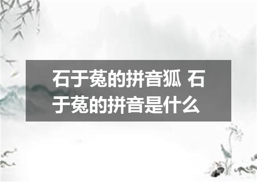 石于菟的拼音狐 石于菟的拼音是什么